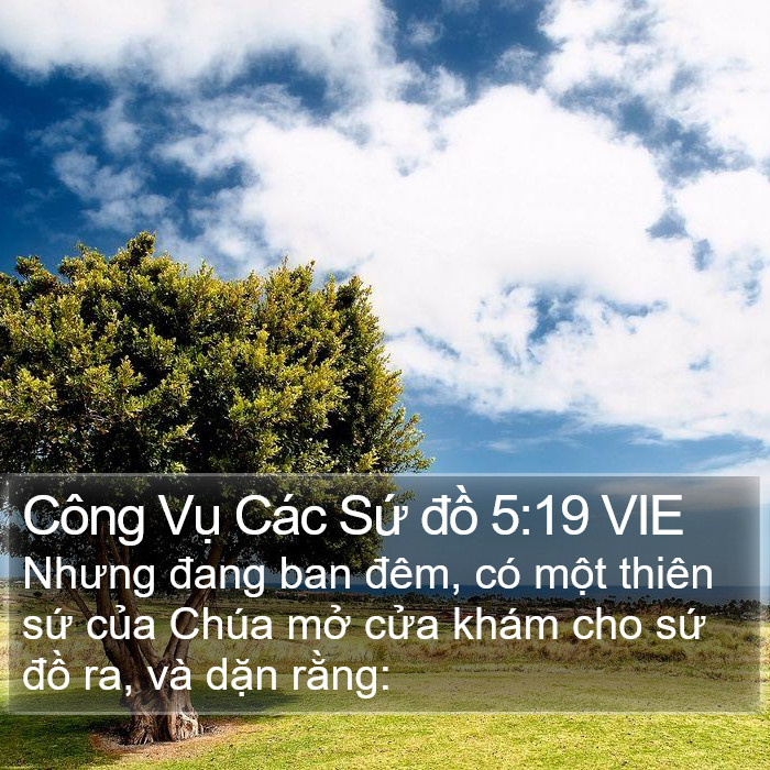 Công Vụ Các Sứ đồ 5:19 VIE Bible Study
