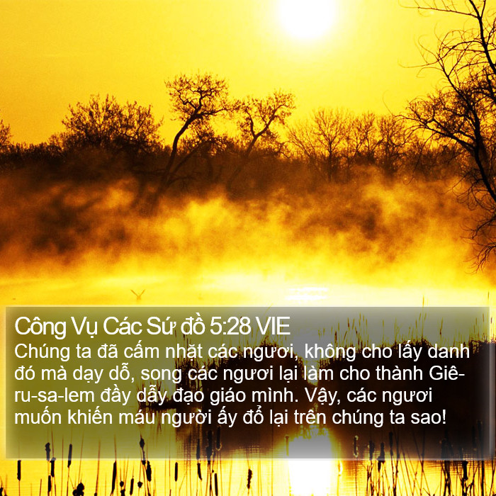 Công Vụ Các Sứ đồ 5:28 VIE Bible Study