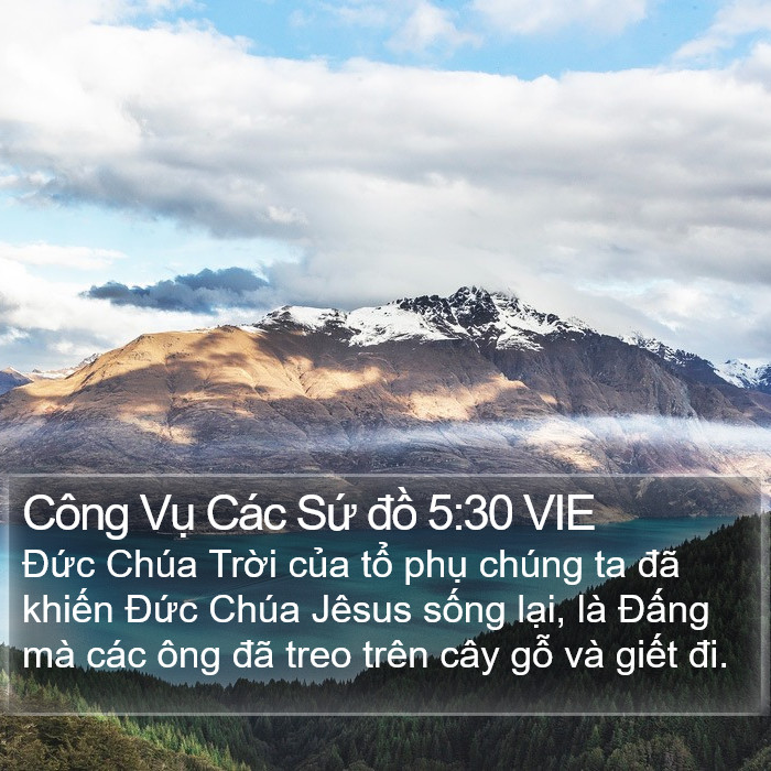 Công Vụ Các Sứ đồ 5:30 VIE Bible Study