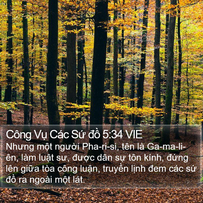 Công Vụ Các Sứ đồ 5:34 VIE Bible Study