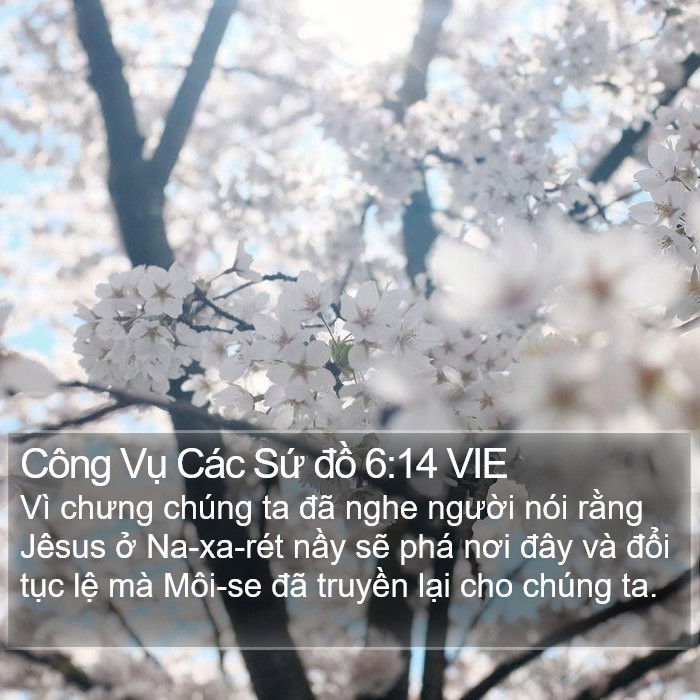 Công Vụ Các Sứ đồ 6:14 VIE Bible Study