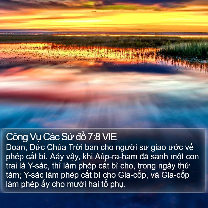 Công Vụ Các Sứ đồ 7:8 VIE Bible Study
