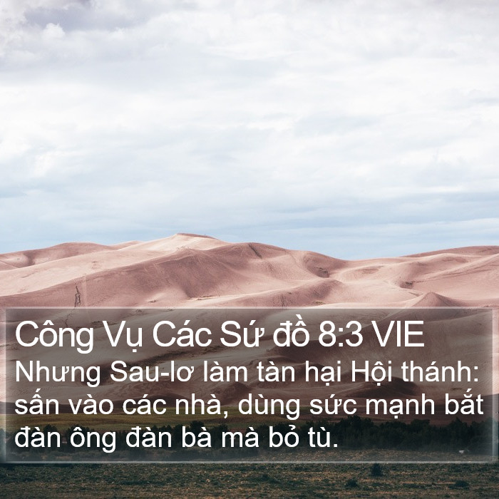 Công Vụ Các Sứ đồ 8:3 VIE Bible Study