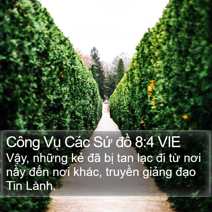 Công Vụ Các Sứ đồ 8:4 VIE Bible Study