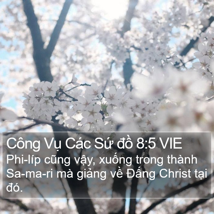 Công Vụ Các Sứ đồ 8:5 VIE Bible Study