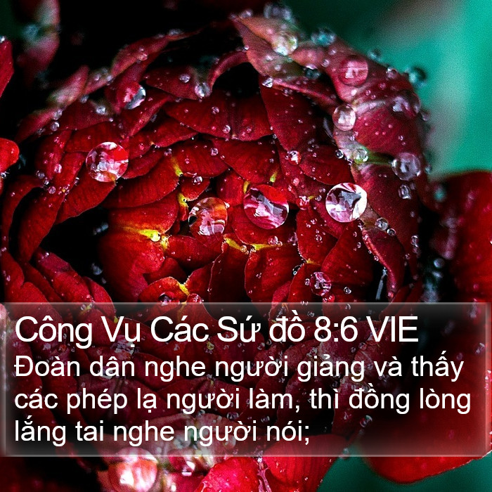 Công Vụ Các Sứ đồ 8:6 VIE Bible Study