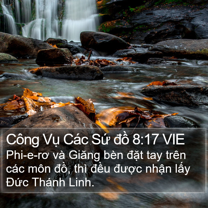 Công Vụ Các Sứ đồ 8:17 VIE Bible Study