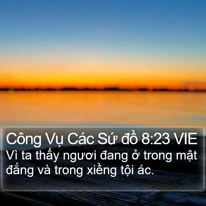 Công Vụ Các Sứ đồ 8:23 VIE Bible Study