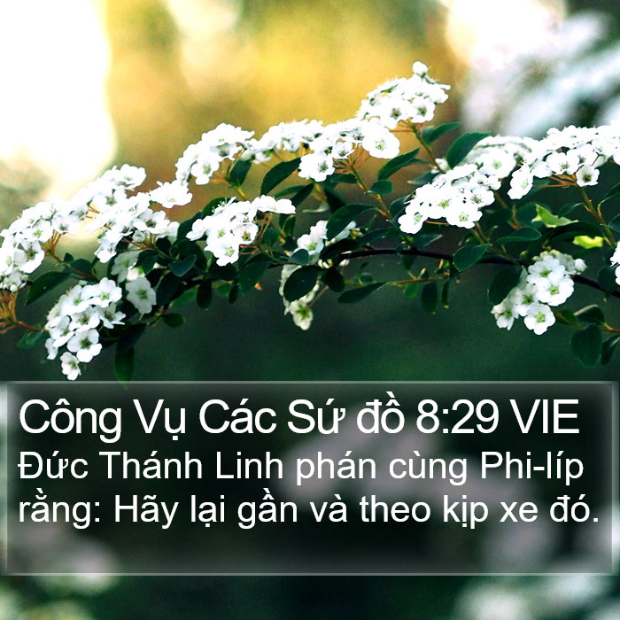 Công Vụ Các Sứ đồ 8:29 VIE Bible Study