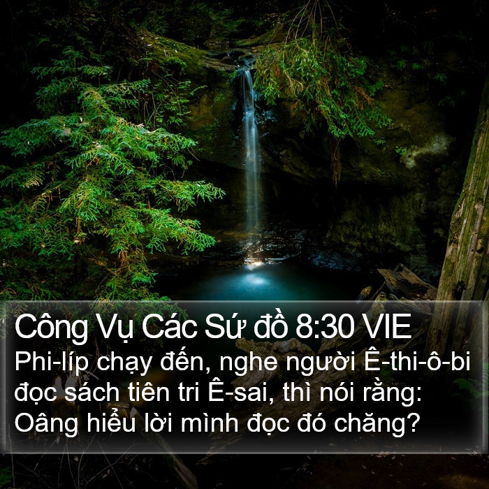 Công Vụ Các Sứ đồ 8:30 VIE Bible Study