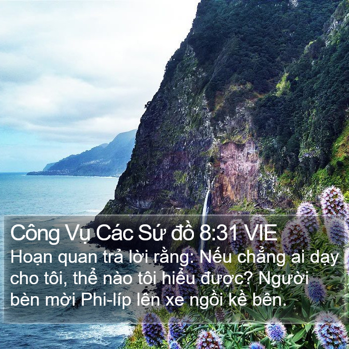 Công Vụ Các Sứ đồ 8:31 VIE Bible Study