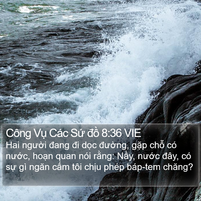 Công Vụ Các Sứ đồ 8:36 VIE Bible Study