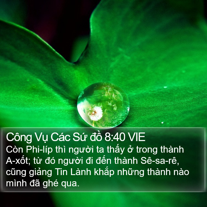 Công Vụ Các Sứ đồ 8:40 VIE Bible Study