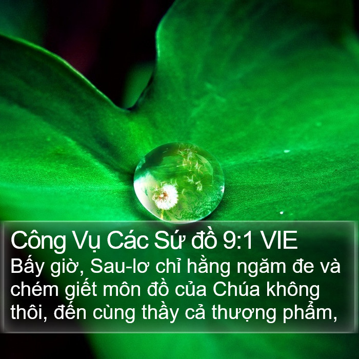 Công Vụ Các Sứ đồ 9:1 VIE Bible Study