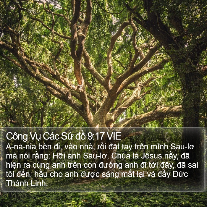 Công Vụ Các Sứ đồ 9:17 VIE Bible Study