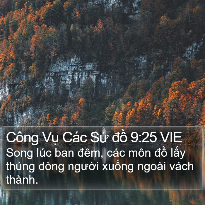 Công Vụ Các Sứ đồ 9:25 VIE Bible Study