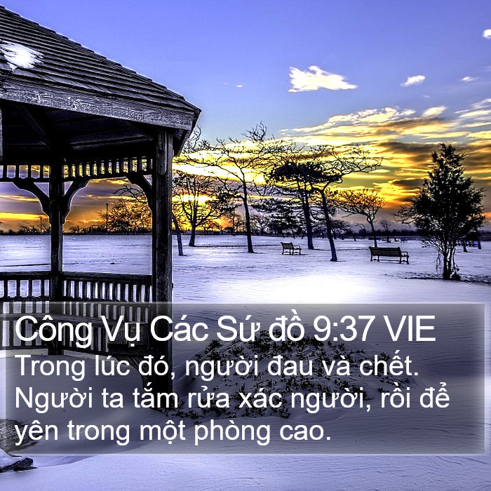 Công Vụ Các Sứ đồ 9:37 VIE Bible Study