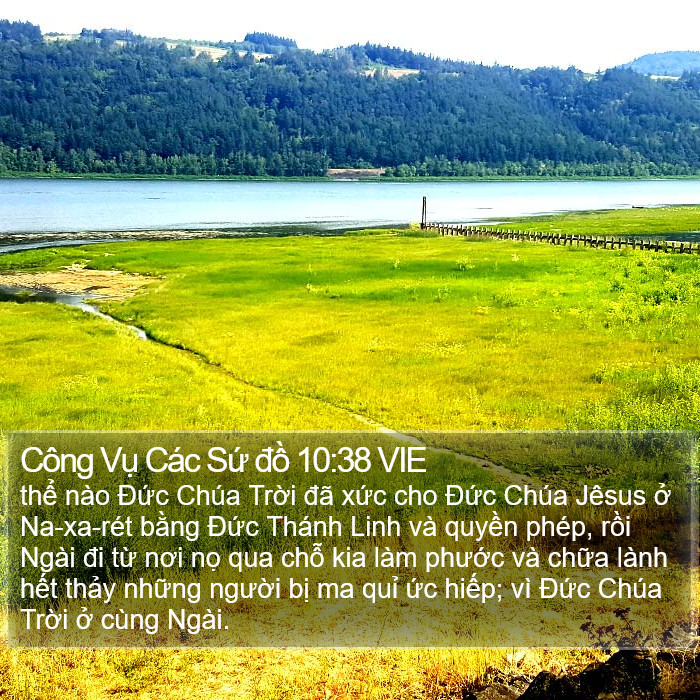 Công Vụ Các Sứ đồ 10:38 VIE Bible Study