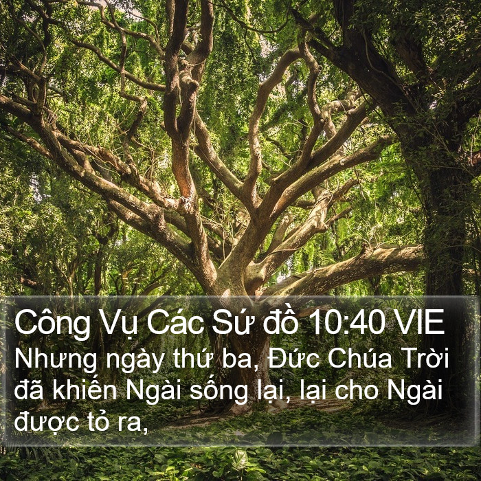 Công Vụ Các Sứ đồ 10:40 VIE Bible Study