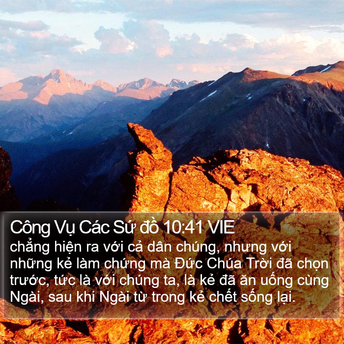 Công Vụ Các Sứ đồ 10:41 VIE Bible Study