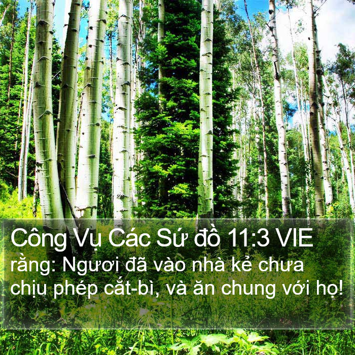 Công Vụ Các Sứ đồ 11:3 VIE Bible Study