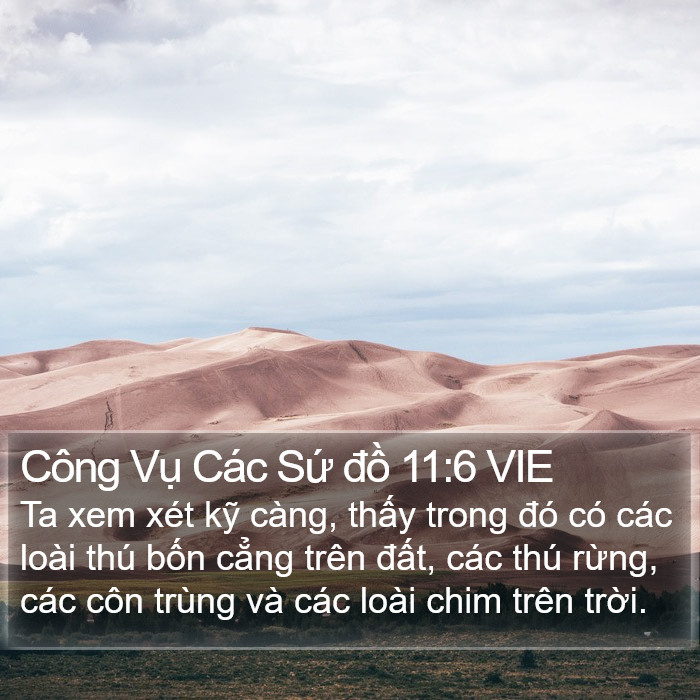 Công Vụ Các Sứ đồ 11:6 VIE Bible Study