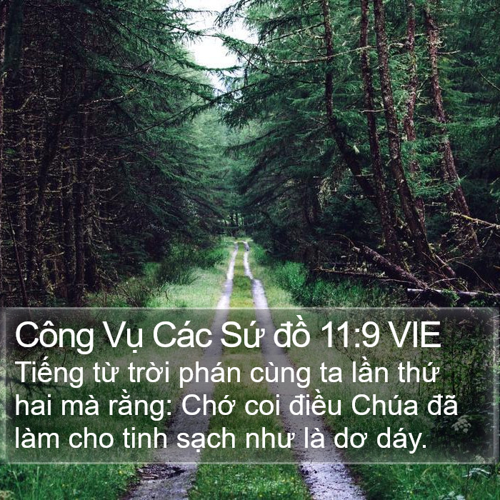 Công Vụ Các Sứ đồ 11:9 VIE Bible Study