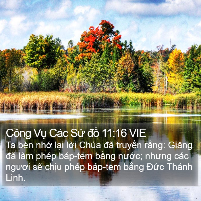 Công Vụ Các Sứ đồ 11:16 VIE Bible Study