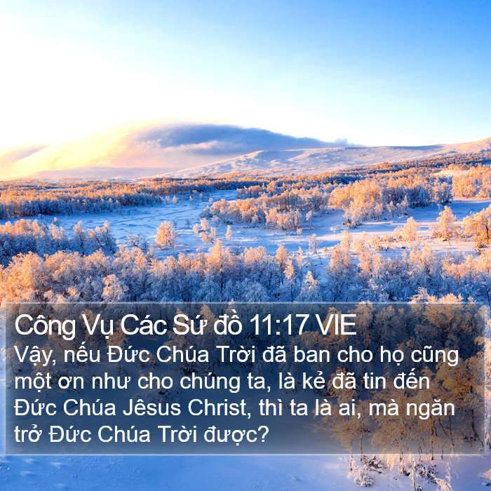 Công Vụ Các Sứ đồ 11:17 VIE Bible Study