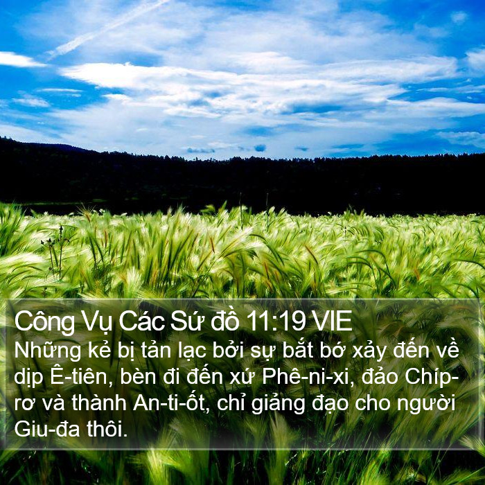 Công Vụ Các Sứ đồ 11:19 VIE Bible Study