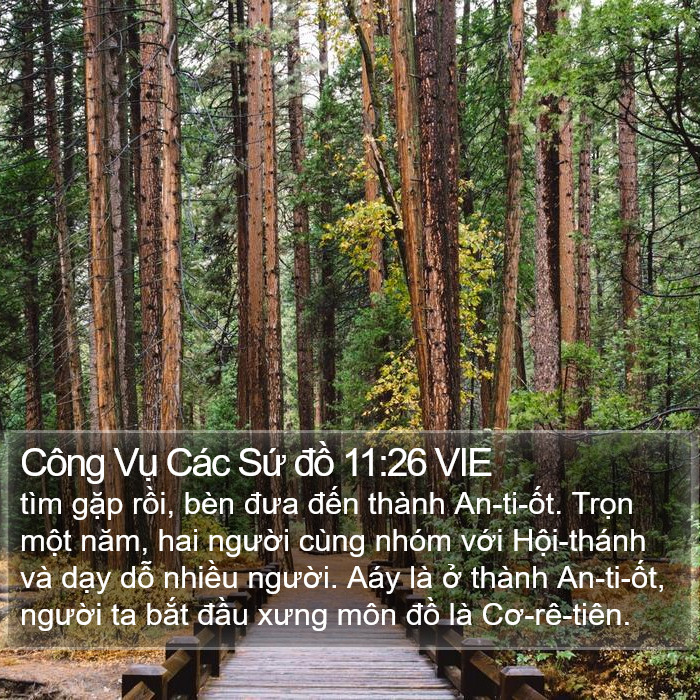 Công Vụ Các Sứ đồ 11:26 VIE Bible Study