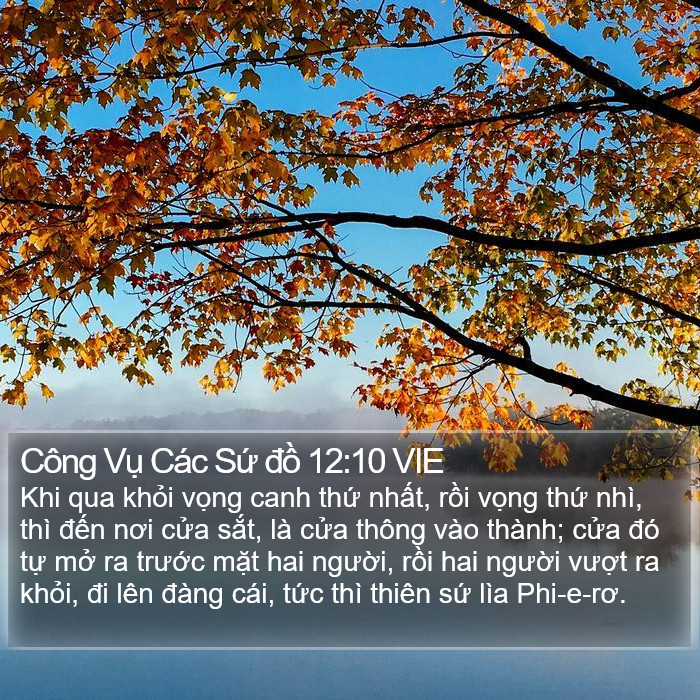 Công Vụ Các Sứ đồ 12:10 VIE Bible Study