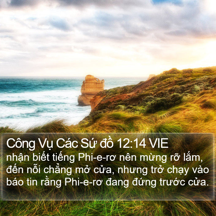 Công Vụ Các Sứ đồ 12:14 VIE Bible Study