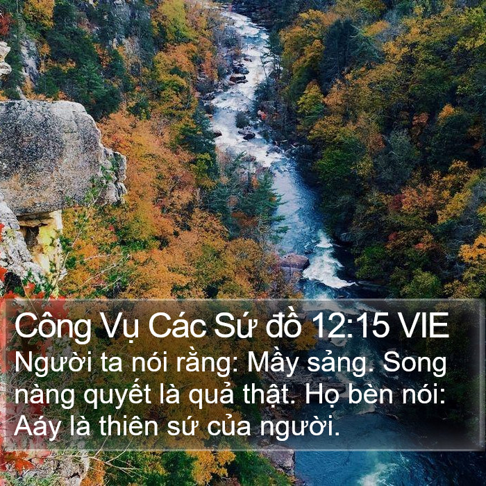 Công Vụ Các Sứ đồ 12:15 VIE Bible Study