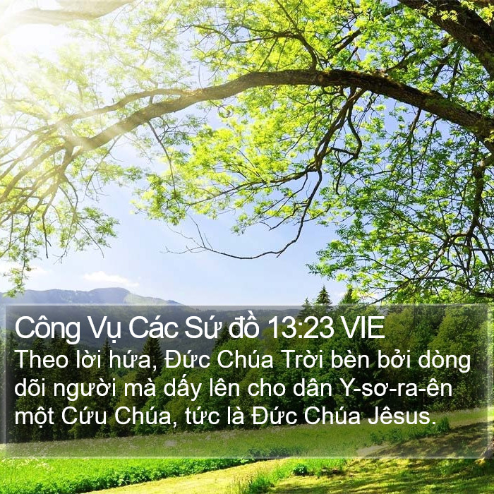 Công Vụ Các Sứ đồ 13:23 VIE Bible Study