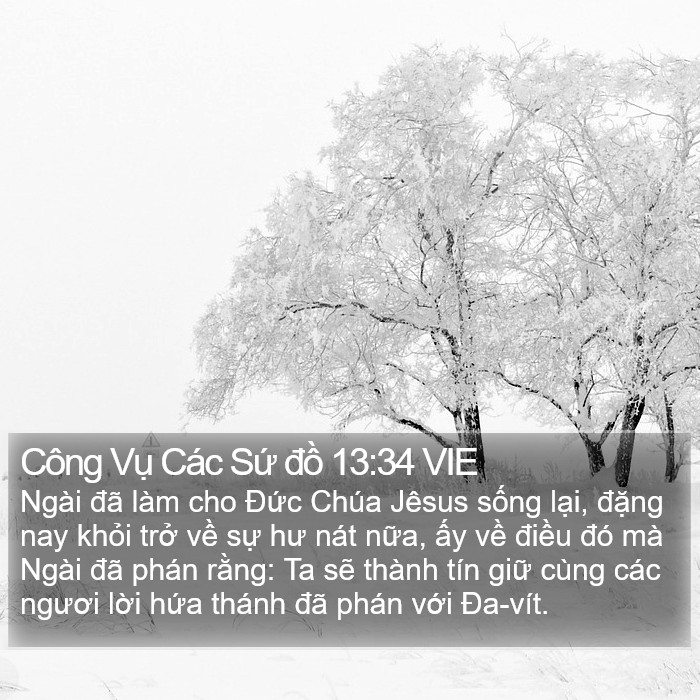 Công Vụ Các Sứ đồ 13:34 VIE Bible Study