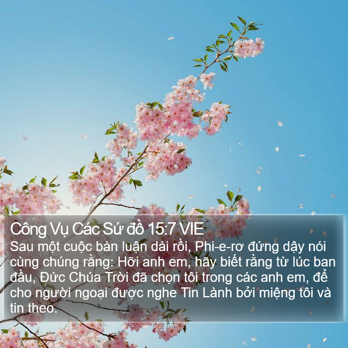 Công Vụ Các Sứ đồ 15:7 VIE Bible Study