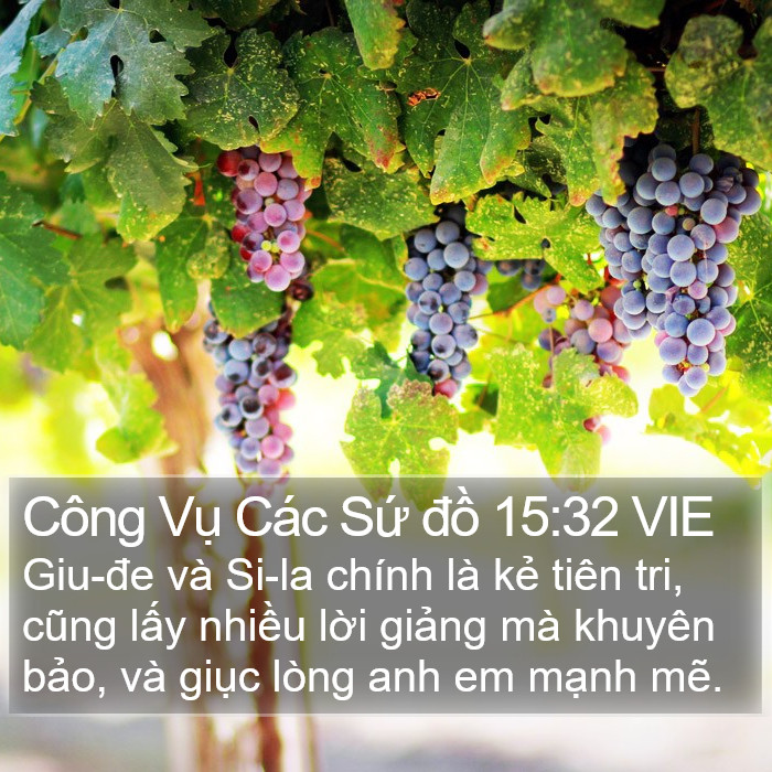 Công Vụ Các Sứ đồ 15:32 VIE Bible Study