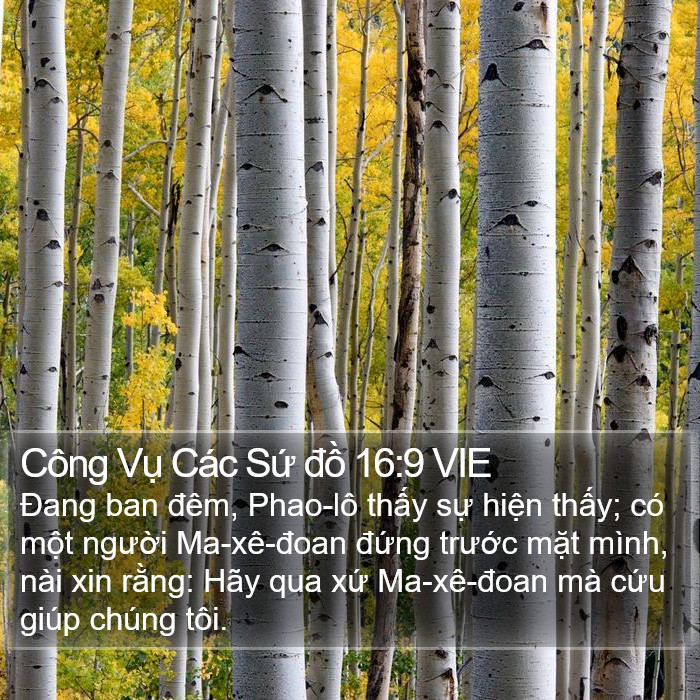 Công Vụ Các Sứ đồ 16:9 VIE Bible Study