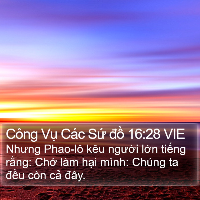 Công Vụ Các Sứ đồ 16:28 VIE Bible Study