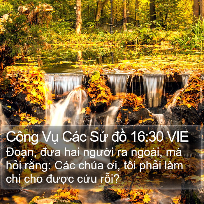 Công Vụ Các Sứ đồ 16:30 VIE Bible Study