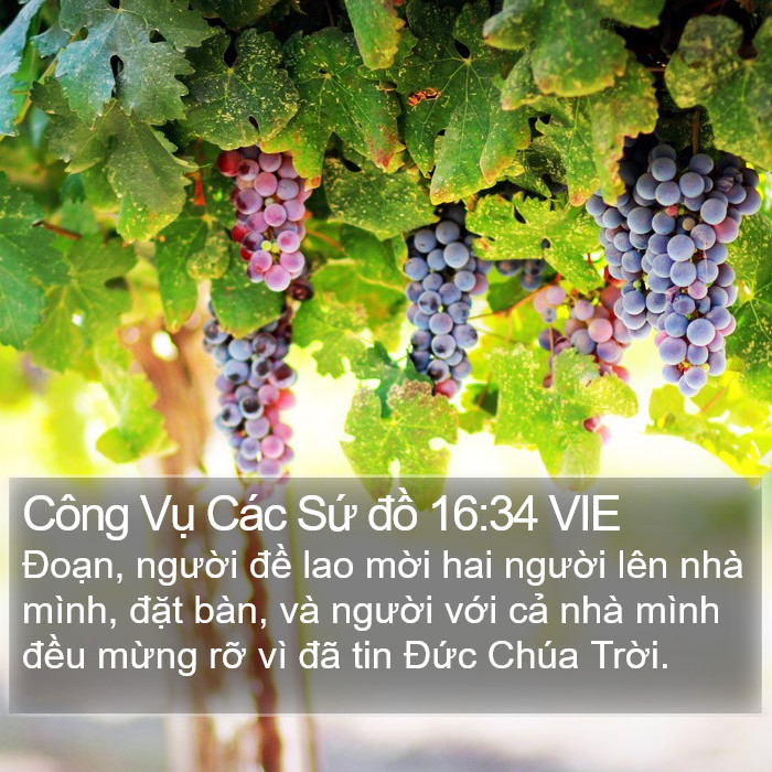 Công Vụ Các Sứ đồ 16:34 VIE Bible Study