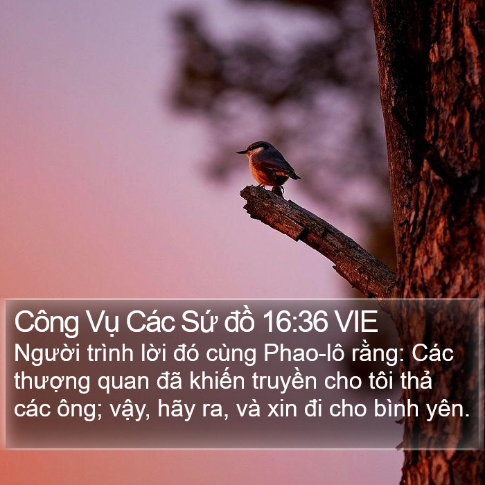 Công Vụ Các Sứ đồ 16:36 VIE Bible Study