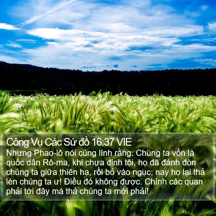 Công Vụ Các Sứ đồ 16:37 VIE Bible Study