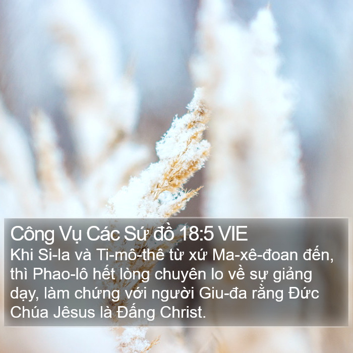 Công Vụ Các Sứ đồ 18:5 VIE Bible Study