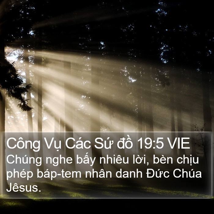 Công Vụ Các Sứ đồ 19:5 VIE Bible Study