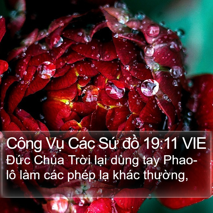 Công Vụ Các Sứ đồ 19:11 VIE Bible Study