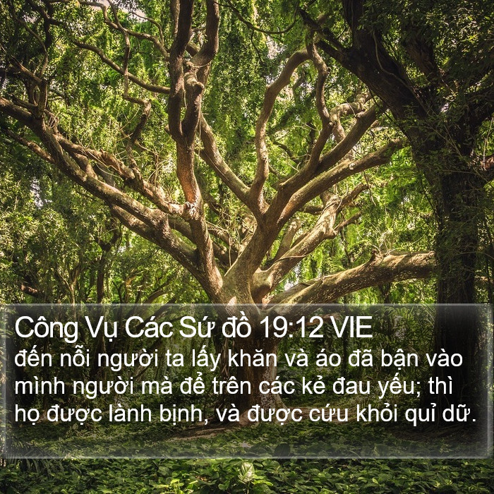 Công Vụ Các Sứ đồ 19:12 VIE Bible Study