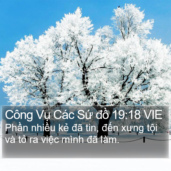 Công Vụ Các Sứ đồ 19:18 VIE Bible Study