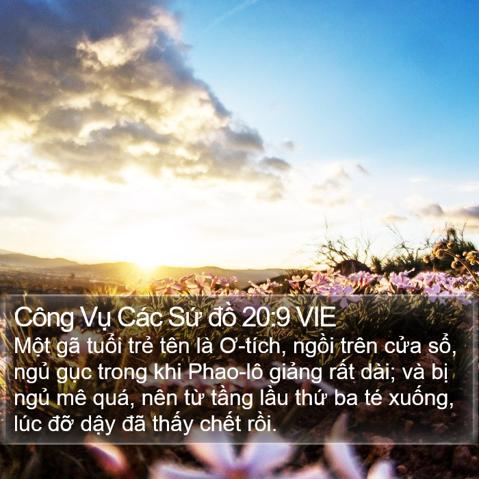 Công Vụ Các Sứ đồ 20:9 VIE Bible Study